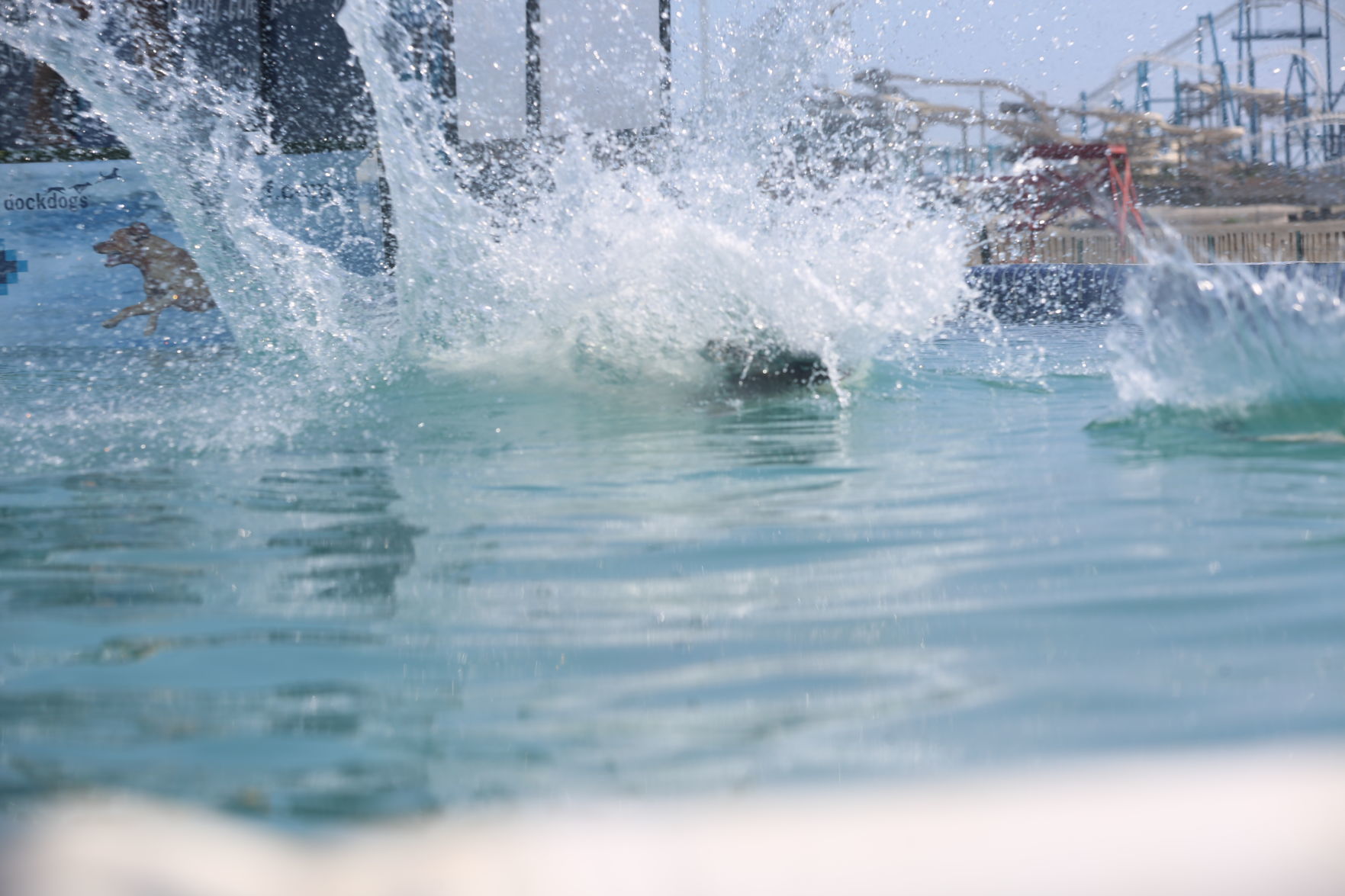 090919_gal_dockdogsWW (43)